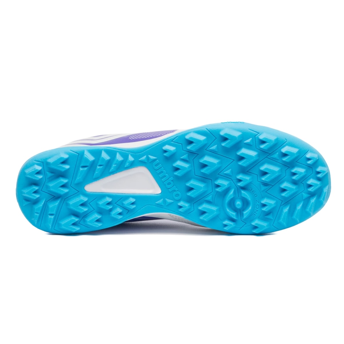 image_e955966f-42f4-47c5-b0de-be5cec8860ac