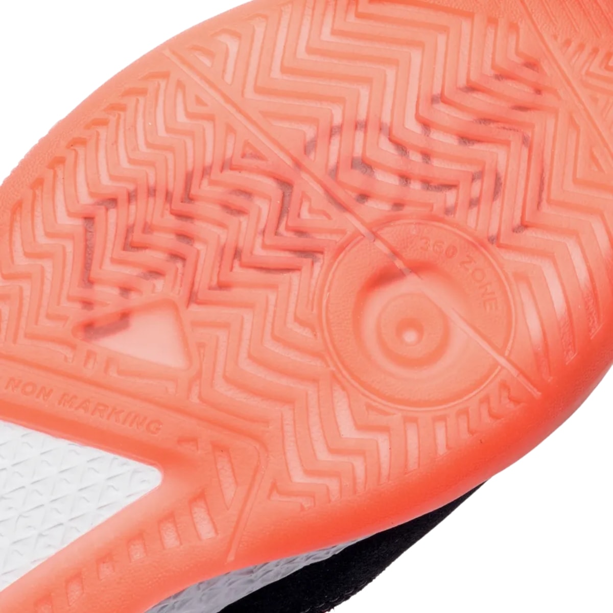 image_9c022ee2-1613-49f6-9ddf-d2eebe30f4cf