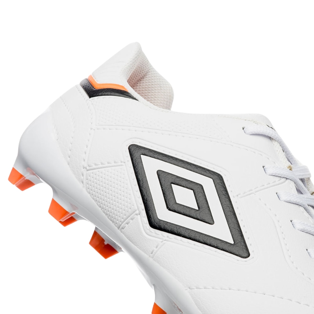 image_3122f8cc-f14b-45e0-9a06-73bb2600df36