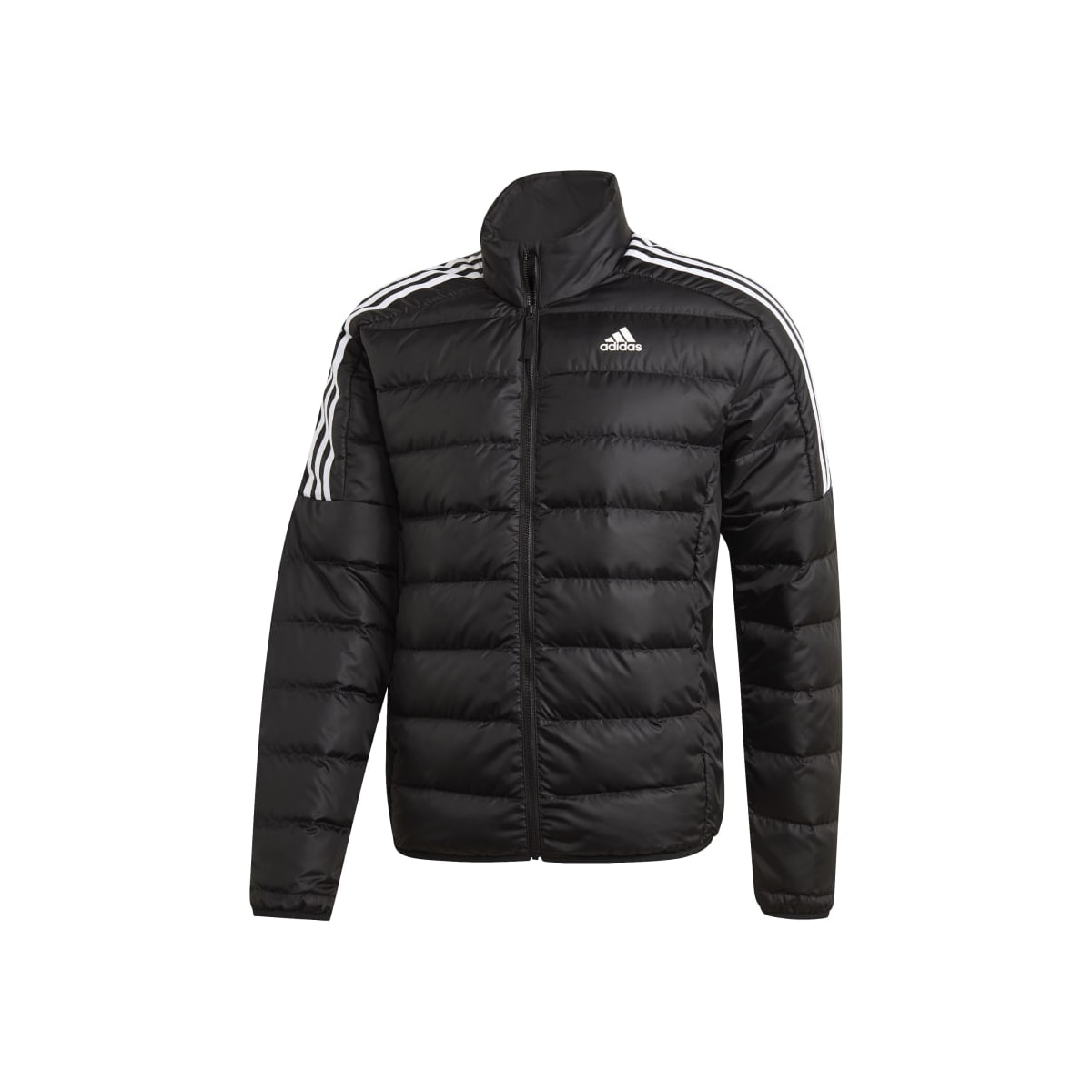 image_4a57557a-9f5c-45e2-8219-946cb19bd6b1