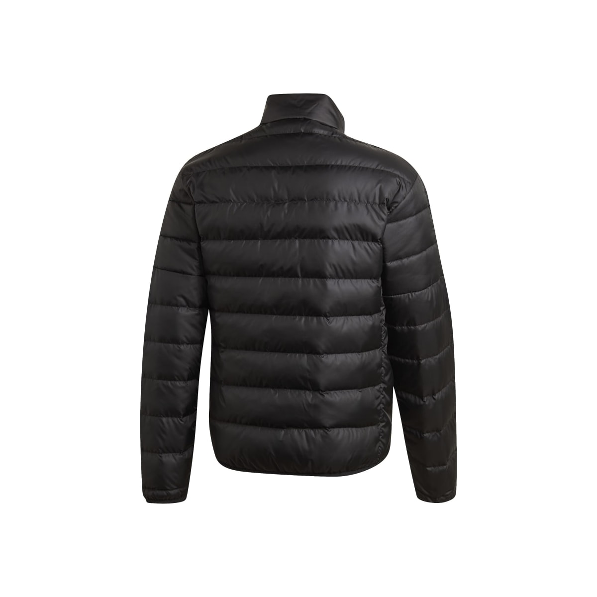 image_5b16ffb3-7d42-42bb-a506-14bfdc79bf19