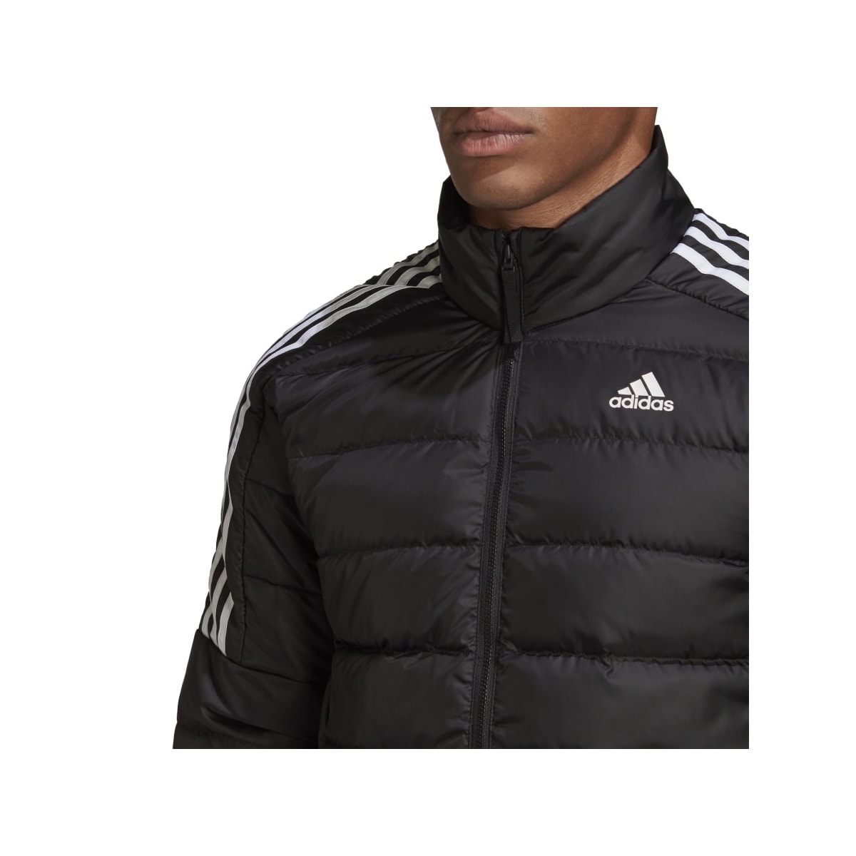 image_818c1758-09b2-42e2-8de2-190eb192542b