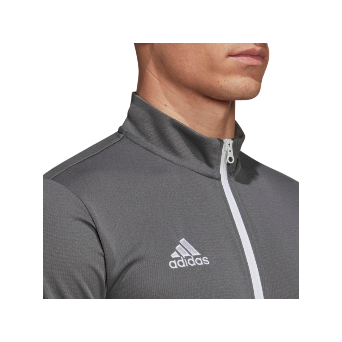 image_f1c68dcb-def0-4b7d-a374-ce6bbefb0801