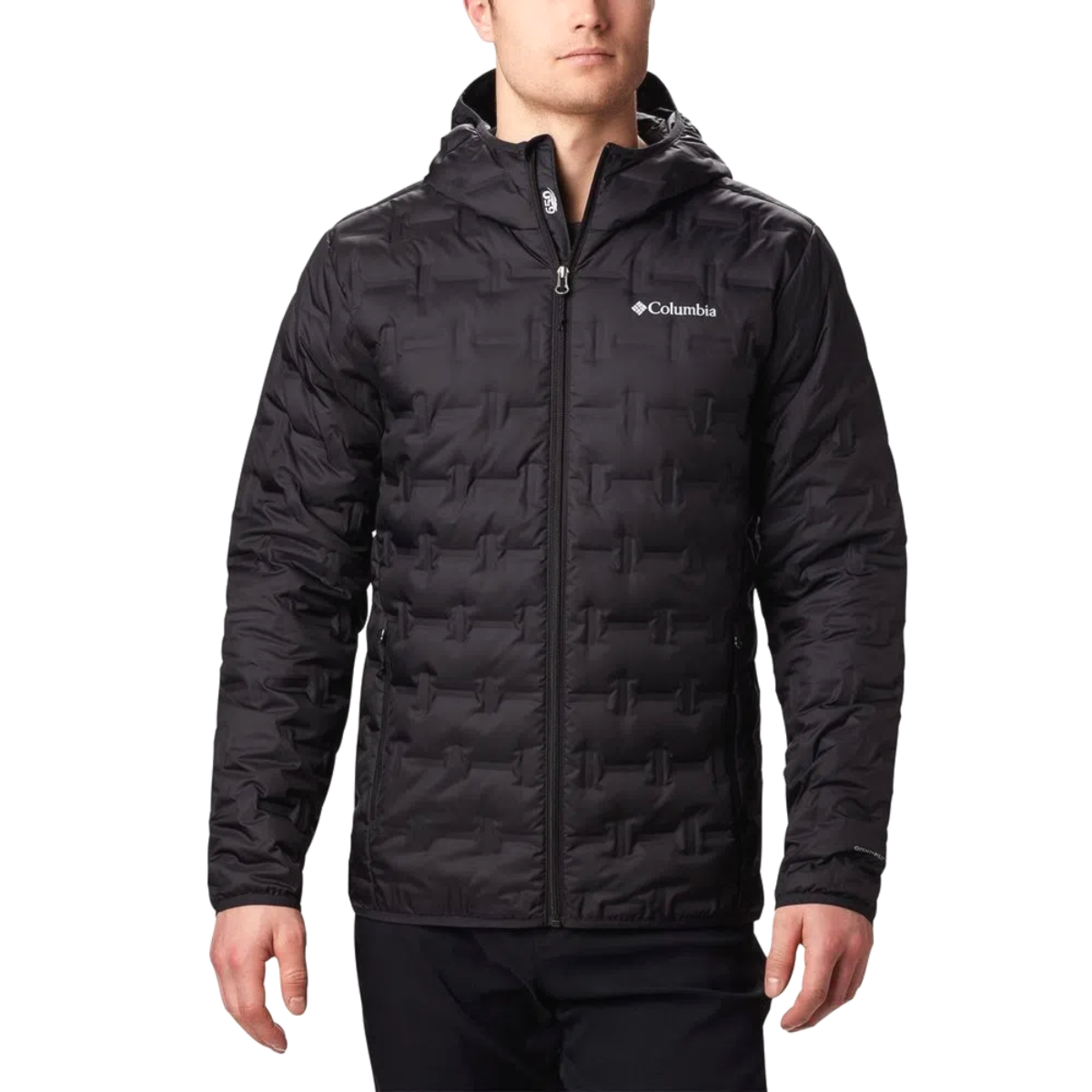 image_a4b47204-558e-48d4-a2d7-851041b64b77