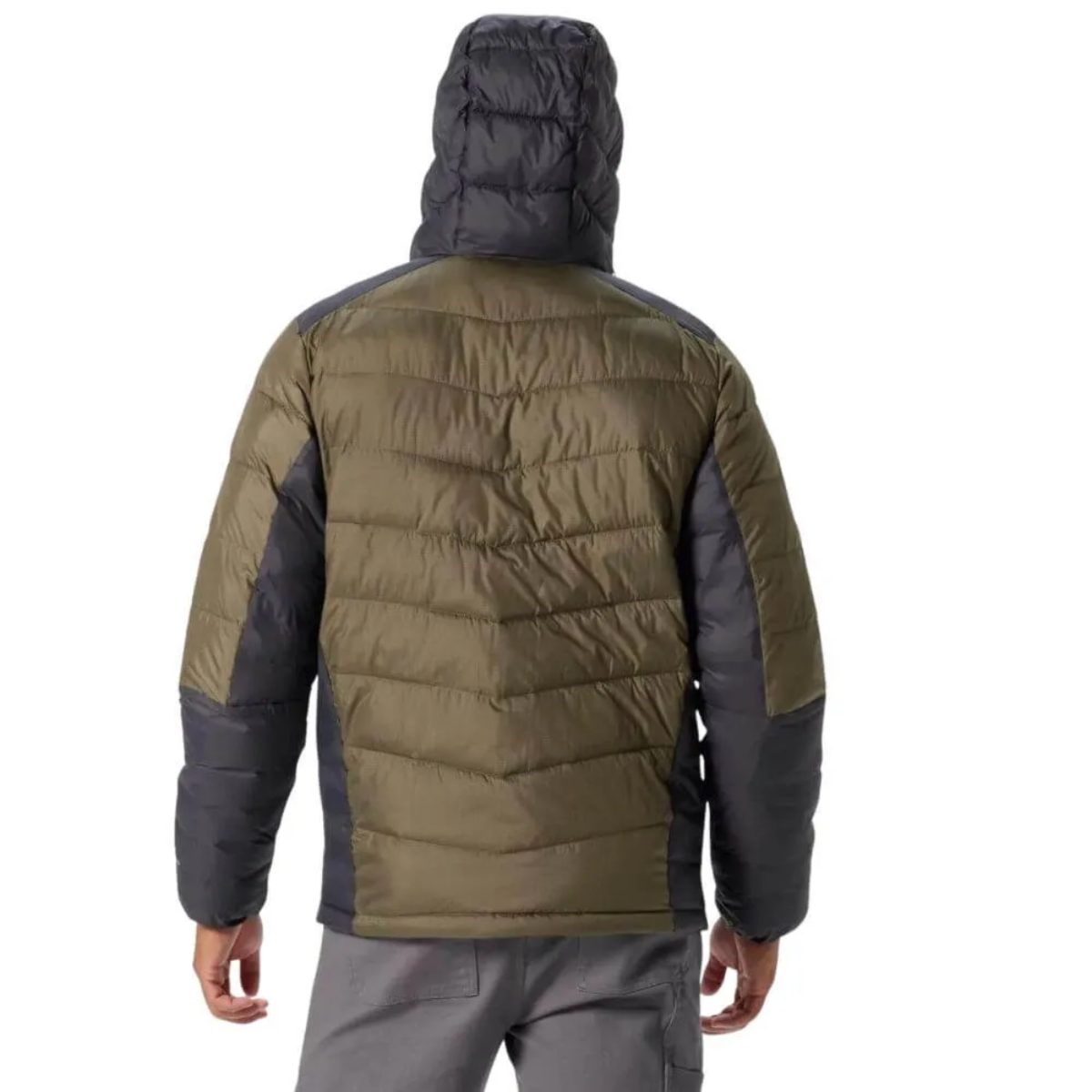 image_41fe2d59-e54c-40cc-a9ed-e72cdb2ea0a2