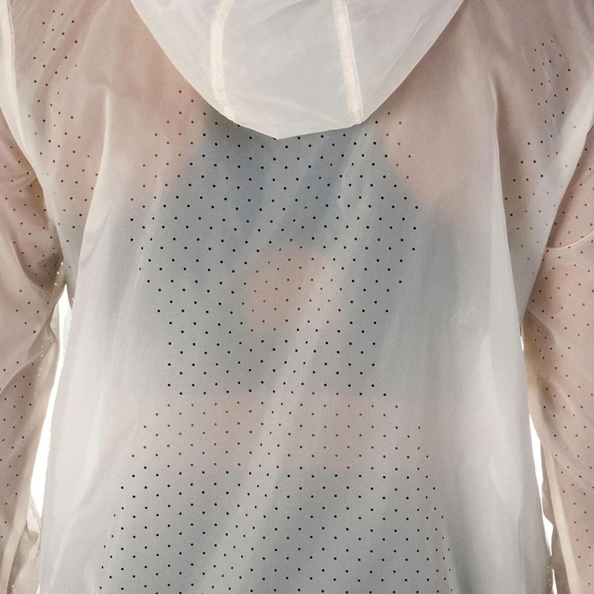 image_c86fafa4-8f6f-4e82-a9e1-23d17bbbfe61