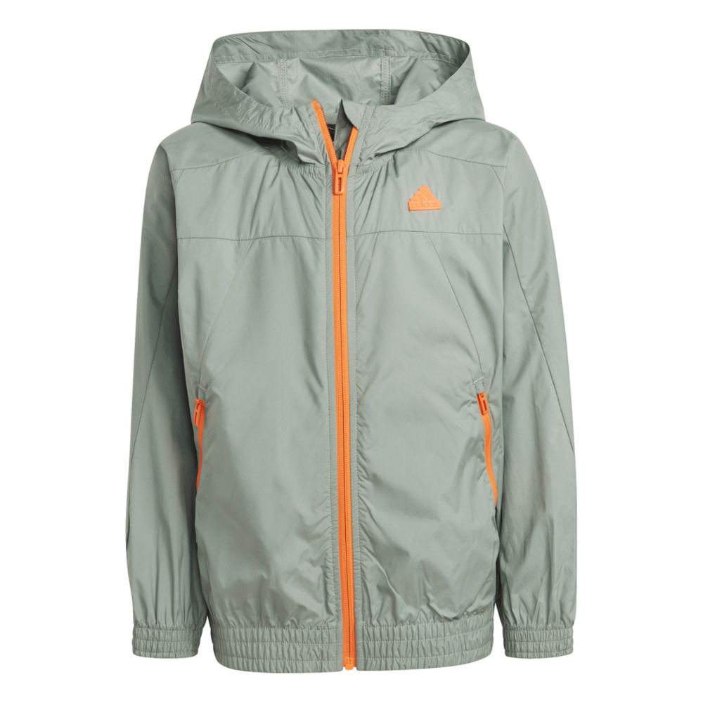 image_f17e8237-d7a0-49f3-ae80-756ad18789f7