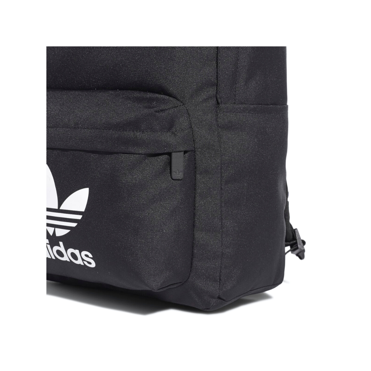 image_b6048c10-5398-4792-bdf6-aaa72c73be69