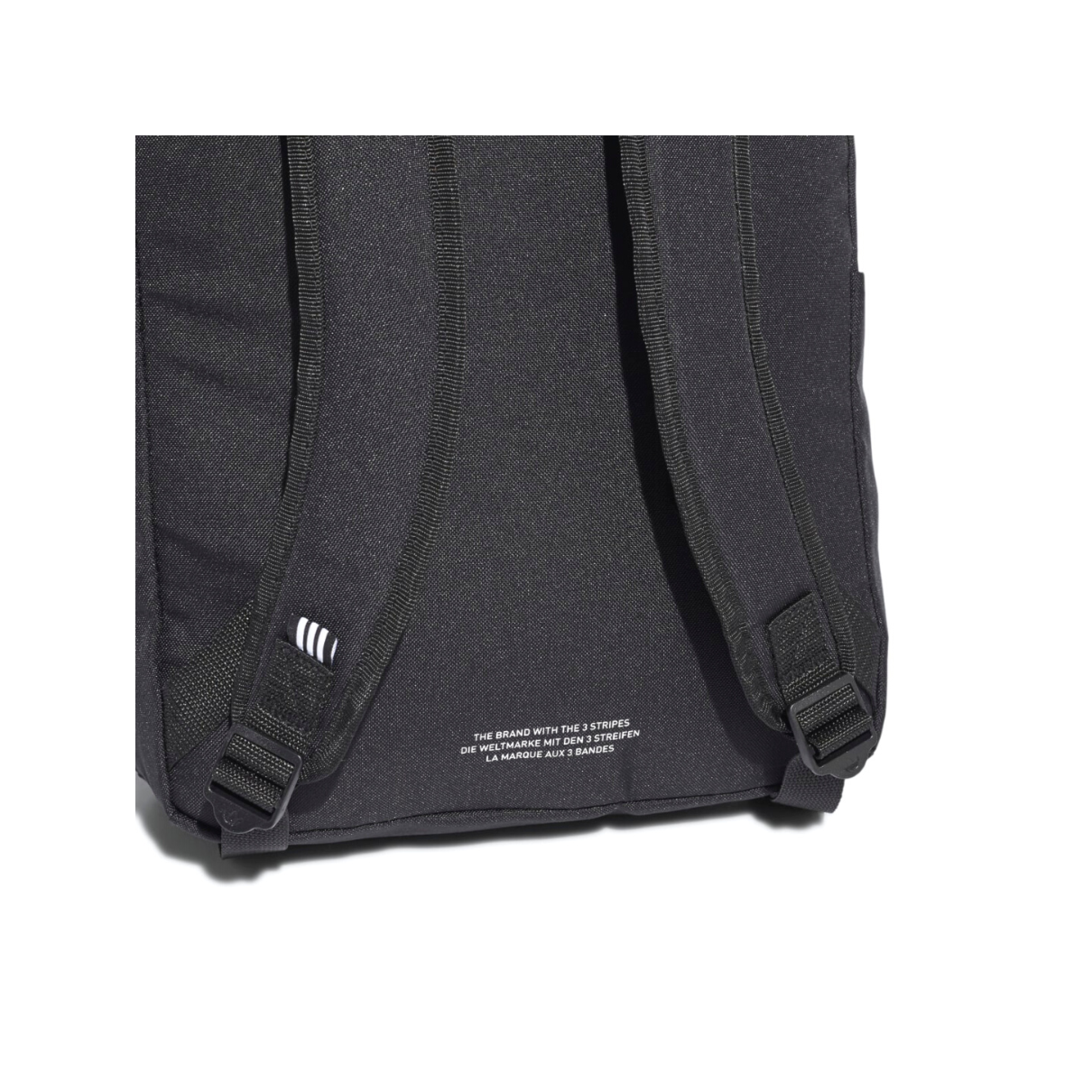 image_24bdd5ed-573e-40f6-985f-9476e3acad85