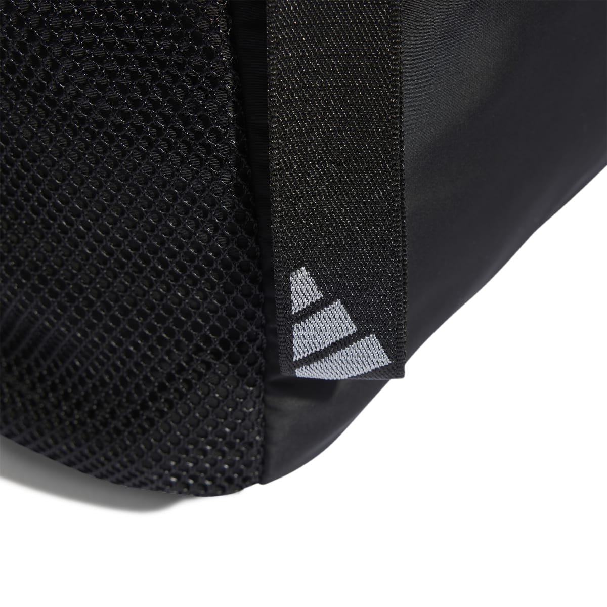 image_07bec555-03ca-4a33-848d-7984a18b2240