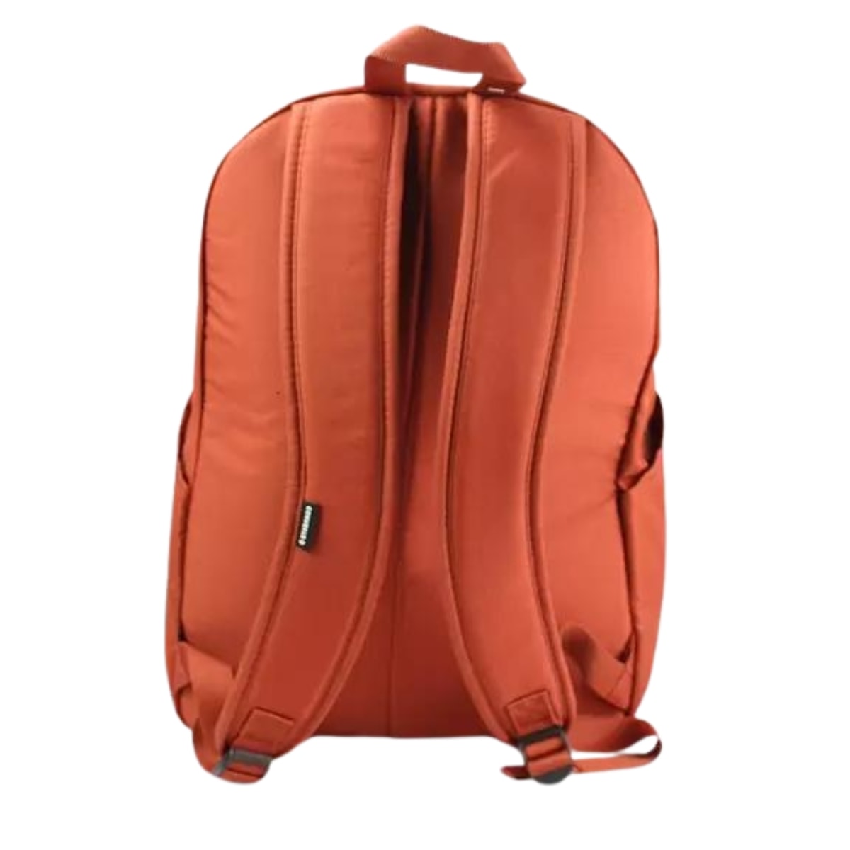 image_ba38fb03-0beb-4d4a-9d30-3ced3516d4ec