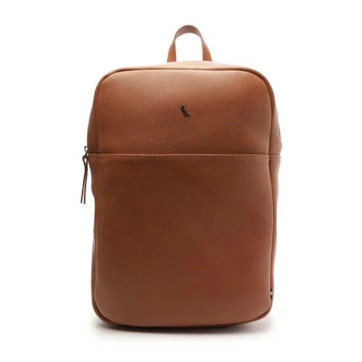 image_49297e65-8ee7-444f-a683-d7e620c1d279