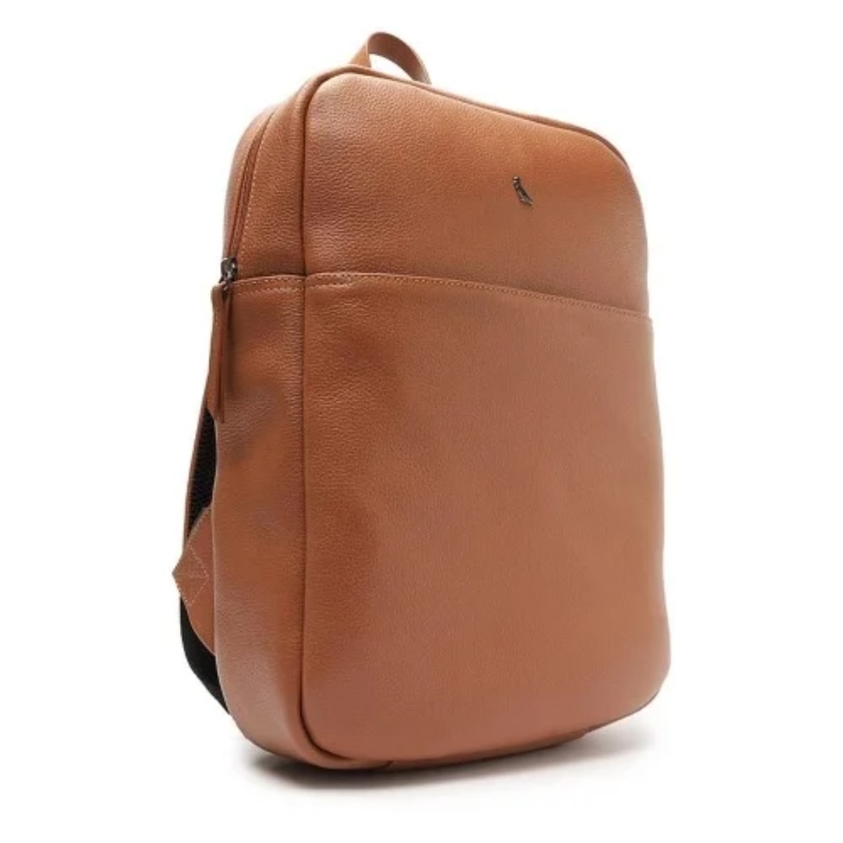 image_736213ec-79d8-4853-8778-b4863d74fea9