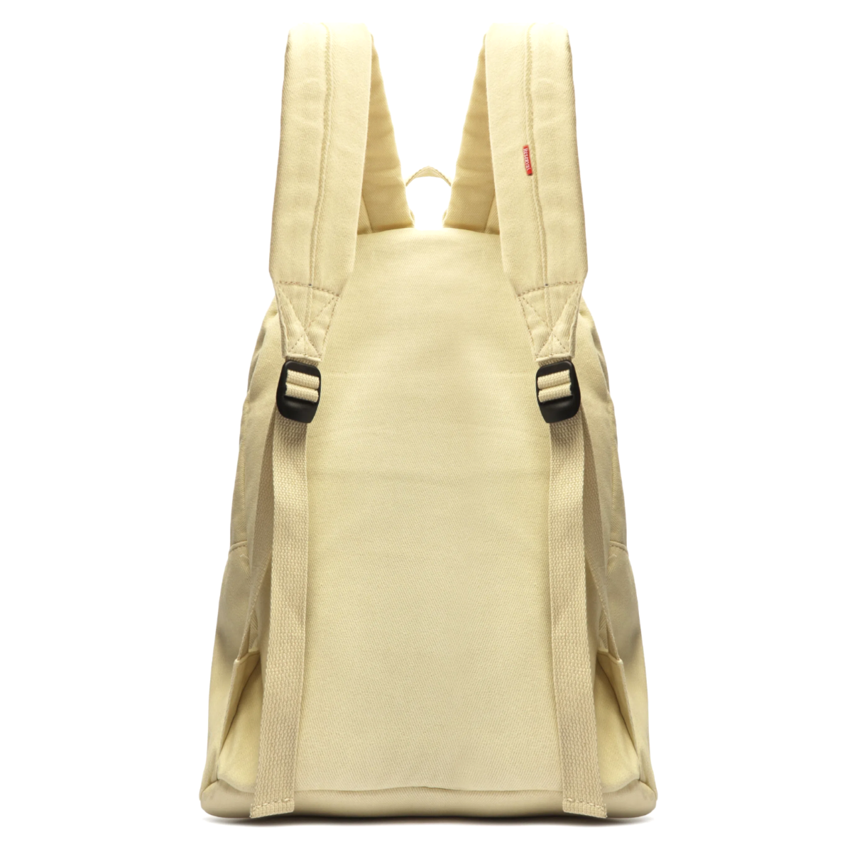 image_e6cc99af-ecda-418a-b8e6-774ca139f410