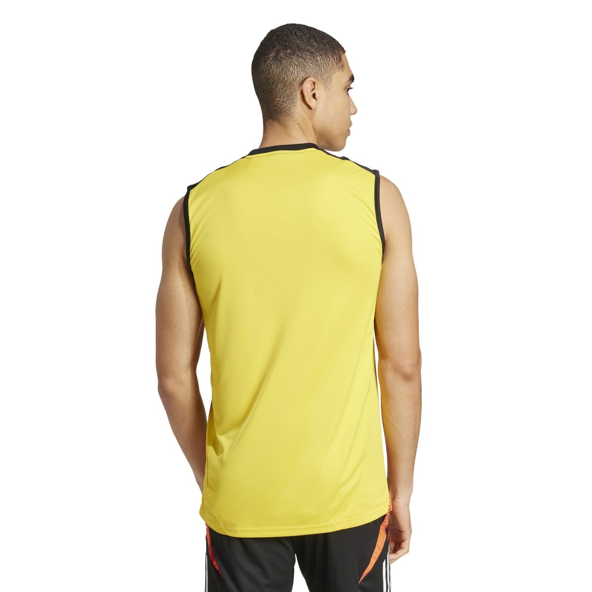 image_5365d2c8-583b-41a1-82b6-68915ee6730f