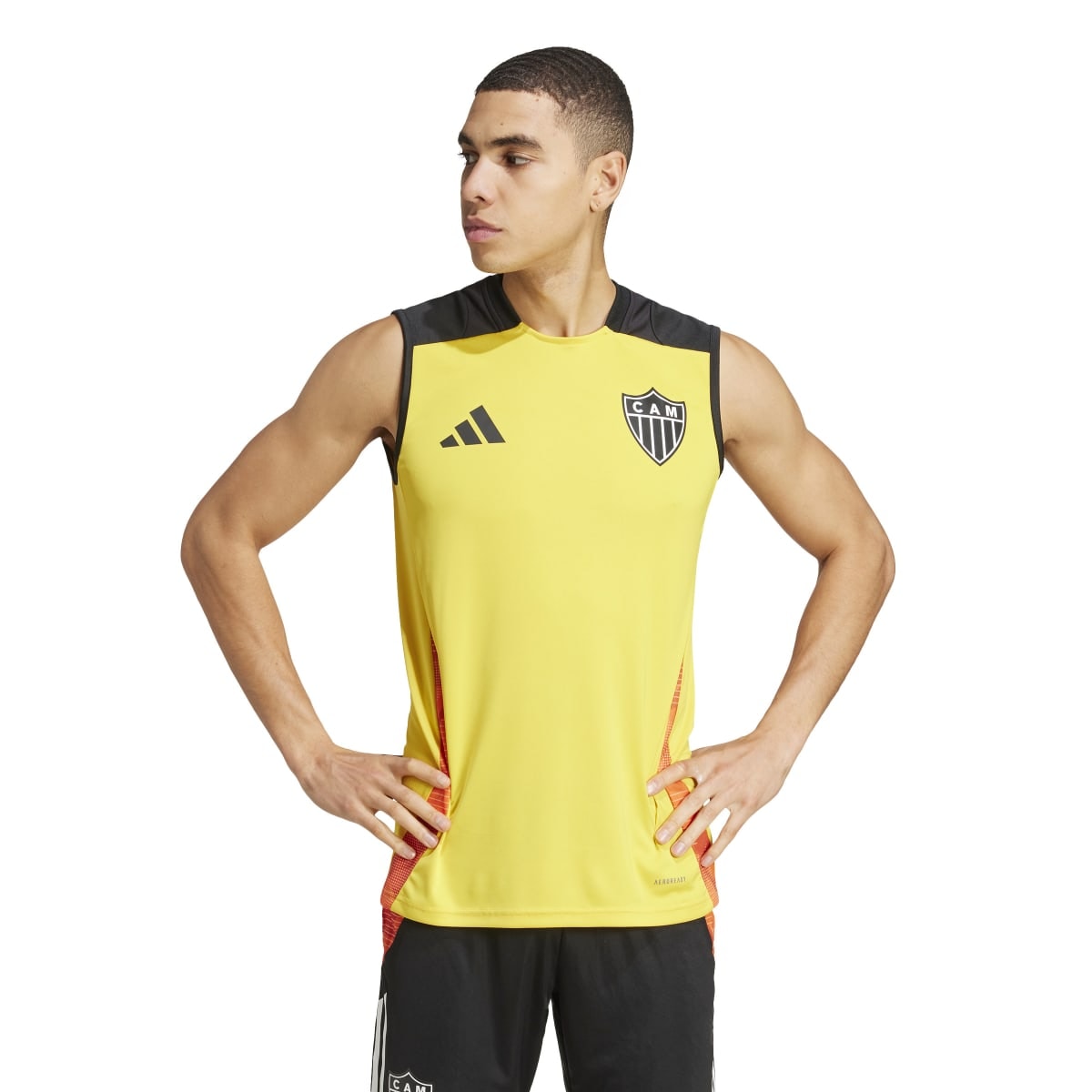 image_d62bf911-14b5-4568-bd0b-0475a1554f38