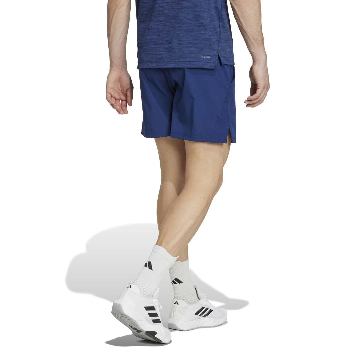 image_0b229690-2049-47ec-9823-79874e6acd33