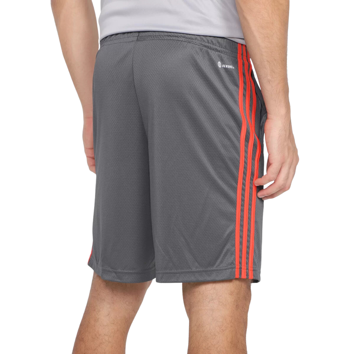 image_09536100-ab2d-435a-b4d3-fc29cd763d9c