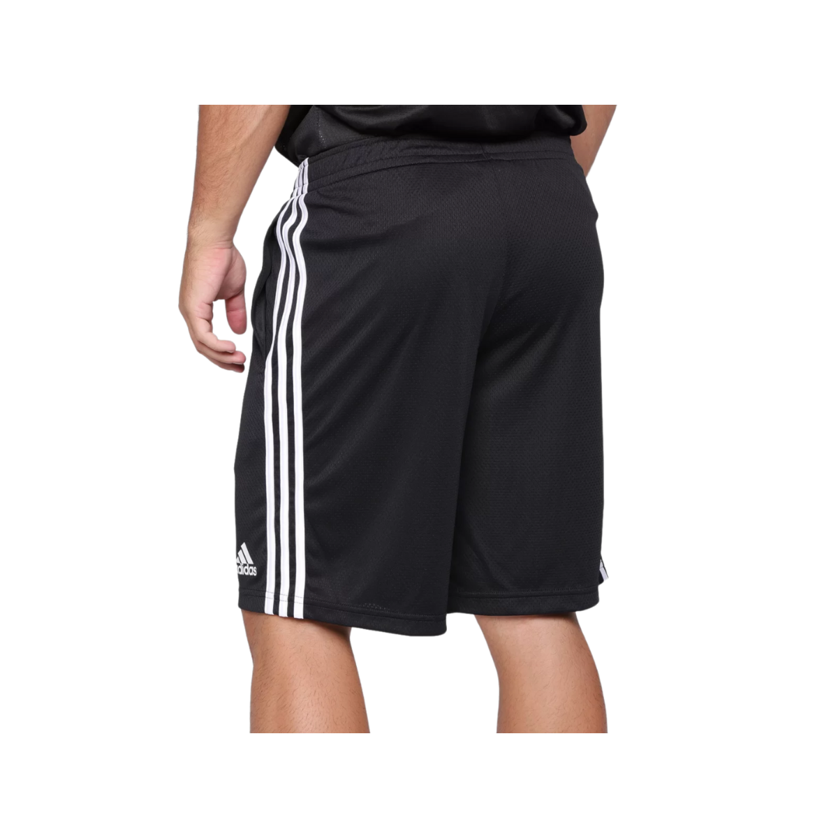 image_46bec580-0ccf-482d-a1c9-34e62cc7aa39