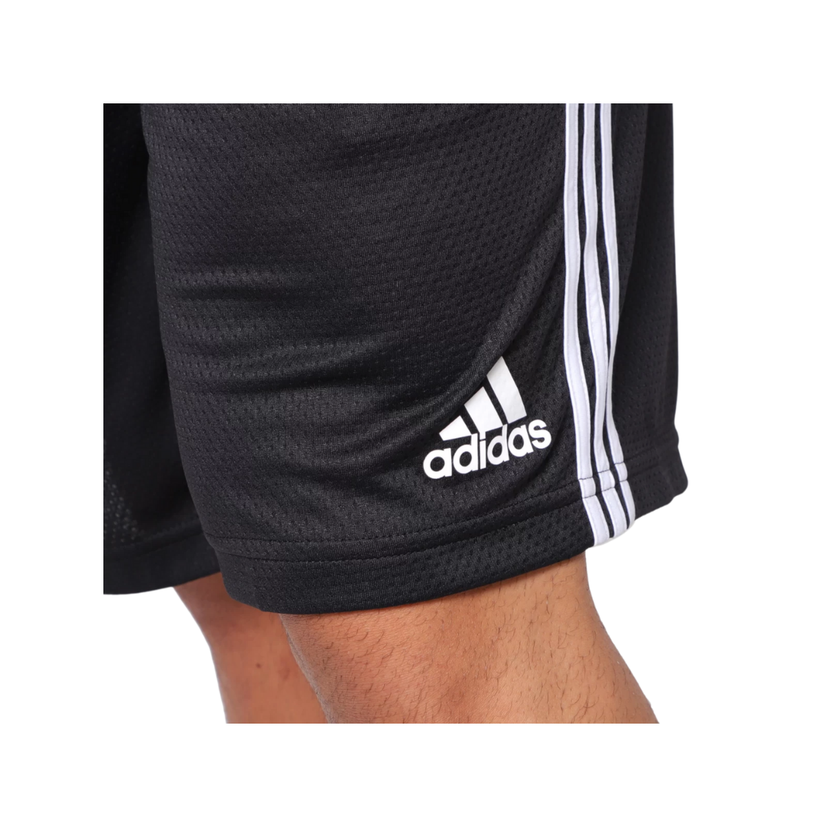 image_eba0205c-de7b-40c3-abef-85da6ec2d074