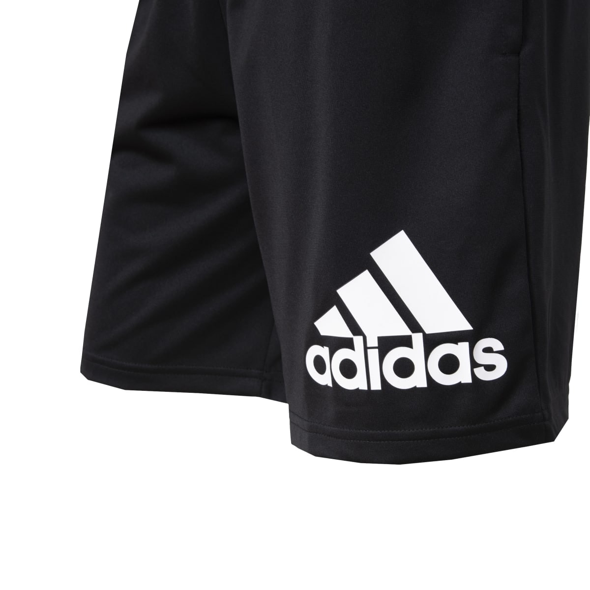 image_6a4b5284-163e-49ce-81de-d68feed27b84