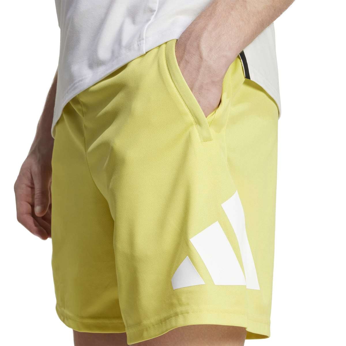 image_10cca344-d2f3-4393-bc01-259ddf4359d8