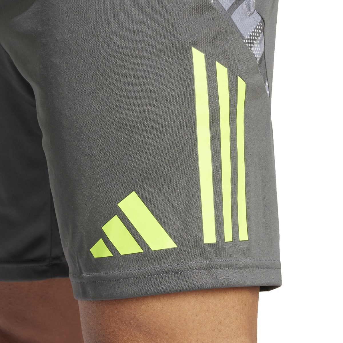 image_9371fc45-506d-40fb-b649-aea5785d2a61