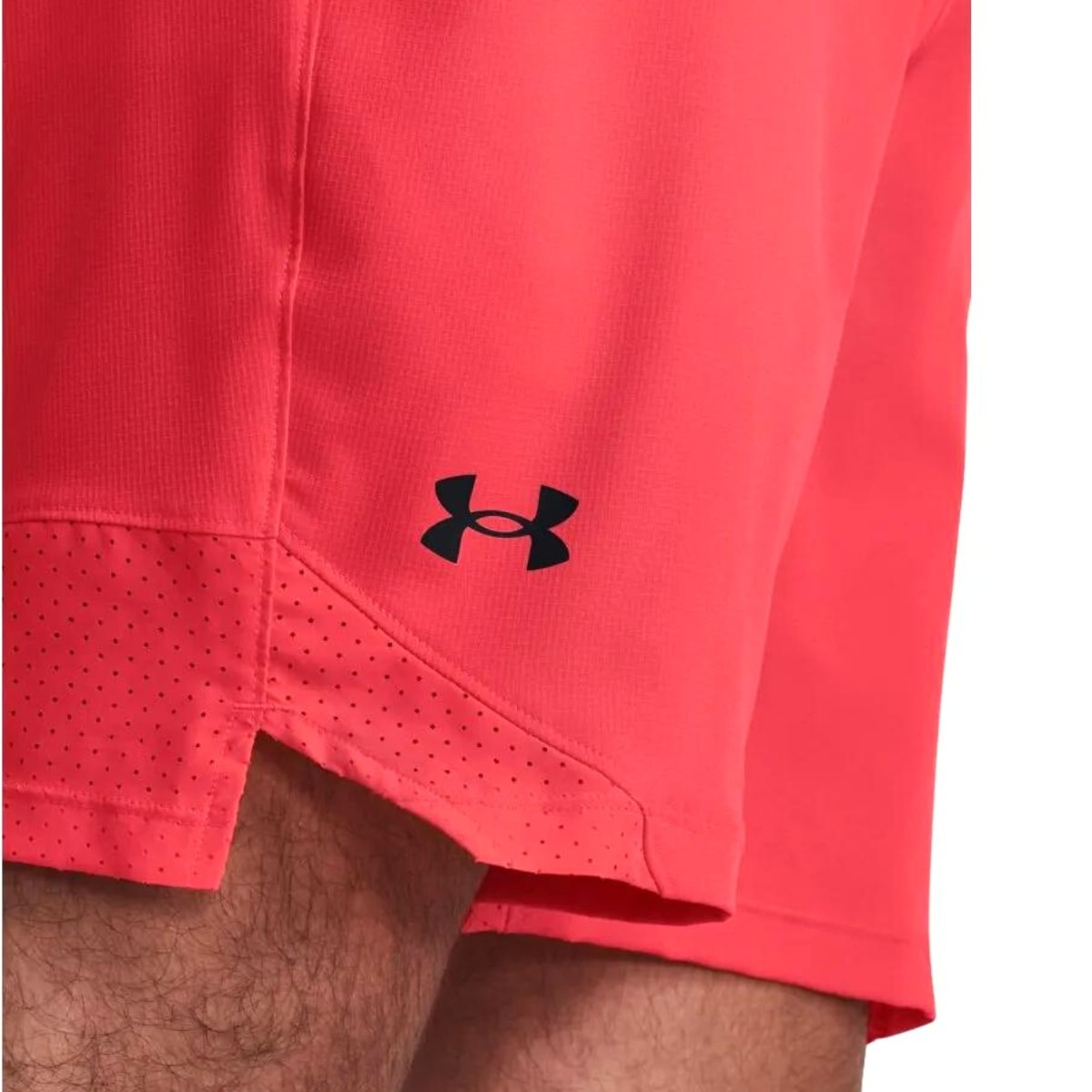 image_faf04fa8-d3ab-4dfd-8196-7741a7db2231