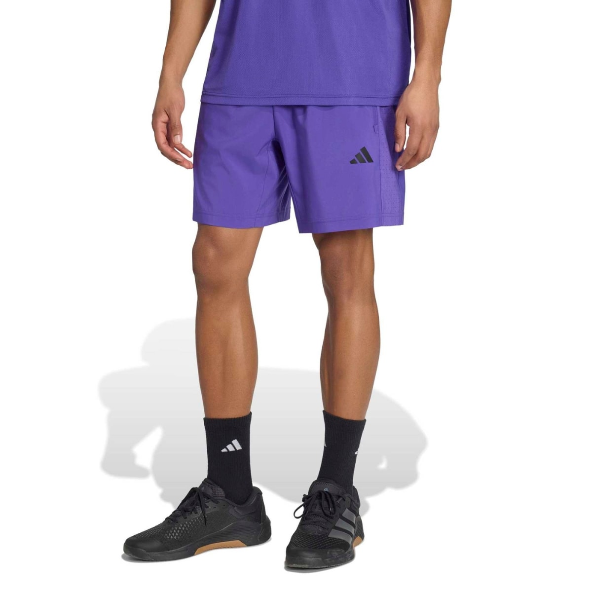 image_80558031-f83d-4362-8ed9-a9c58cf210ff