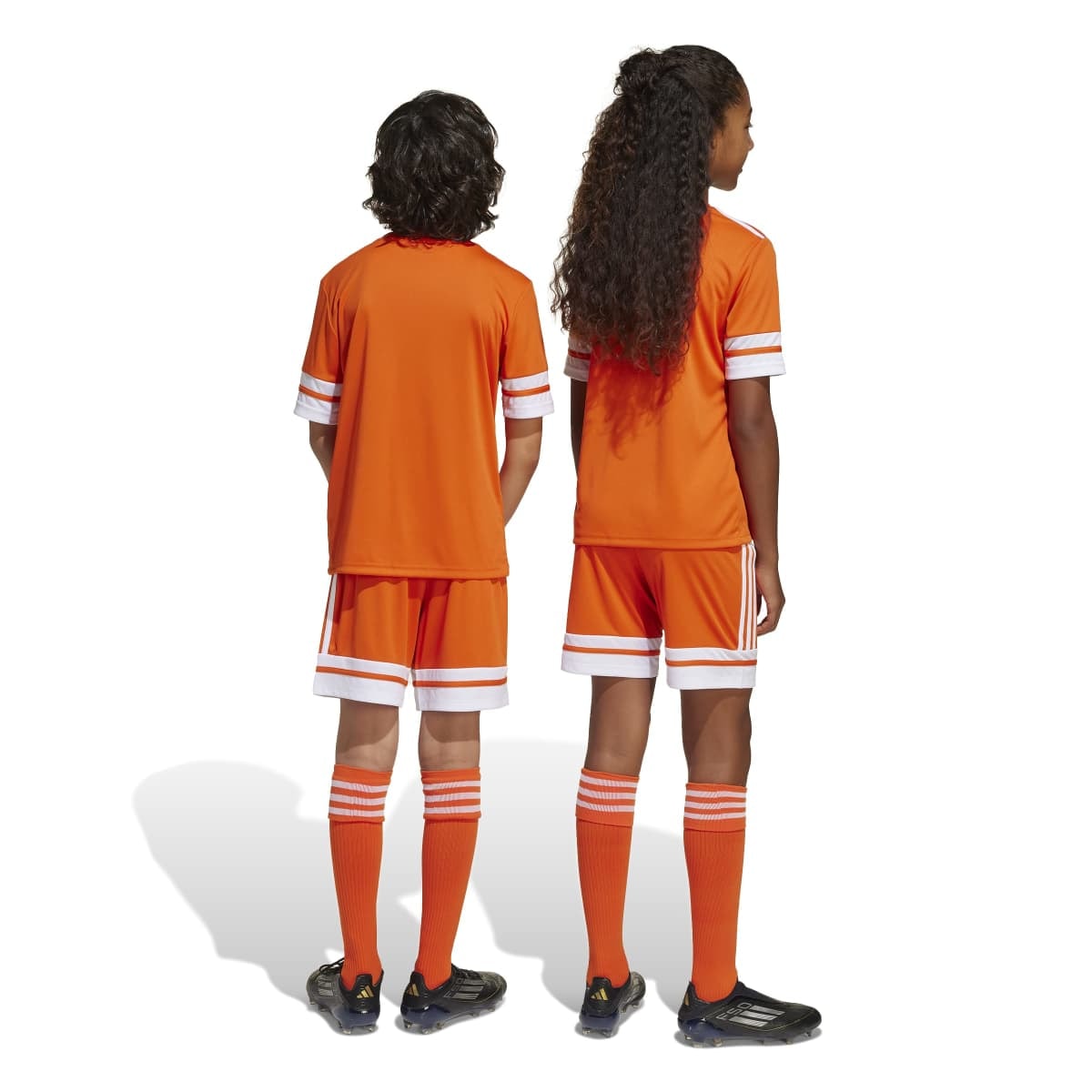 image_d54f4f81-7f50-485a-b3f0-def7f195f833