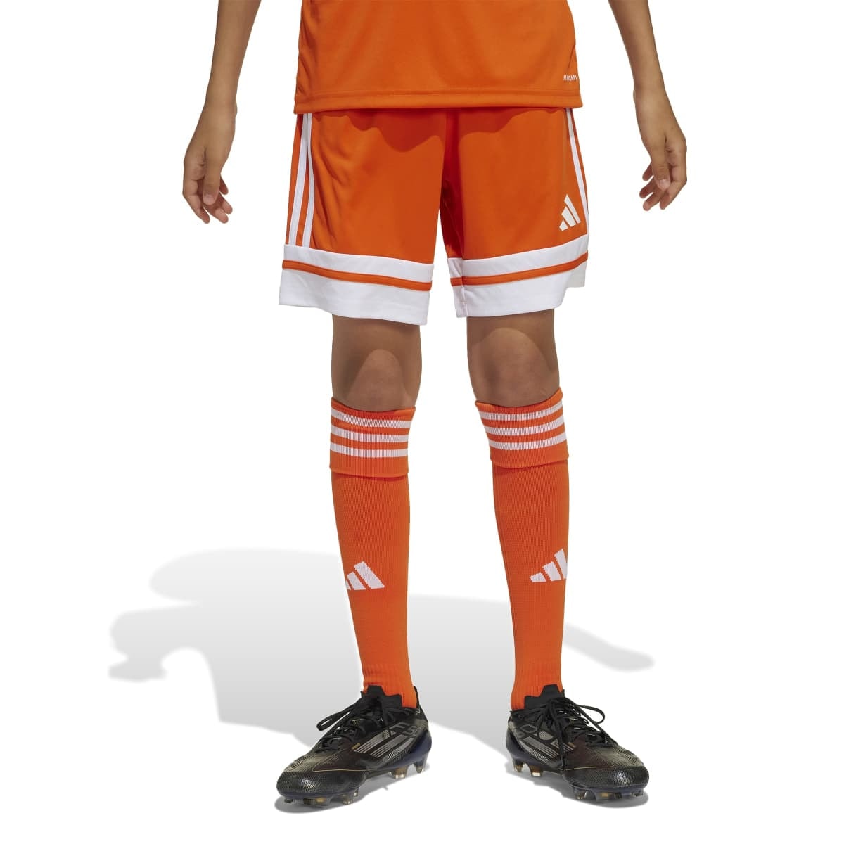 image_31e90706-04aa-4dcf-bd75-694f69e3b52d