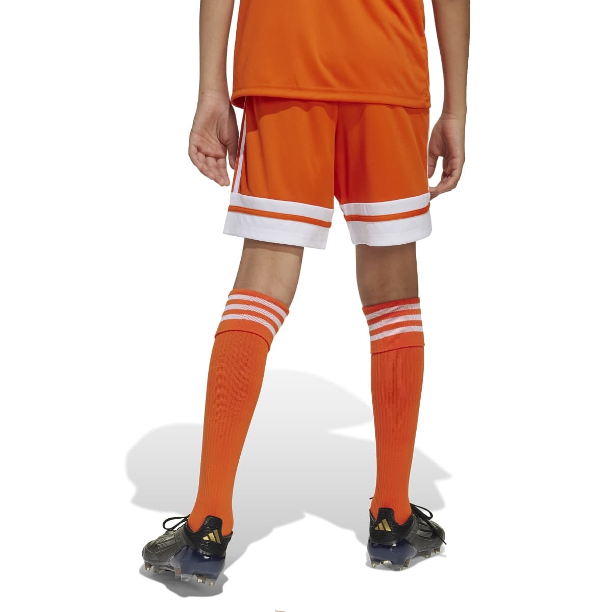 image_f2613b11-c8a7-4e1b-b09b-592f74fa4401