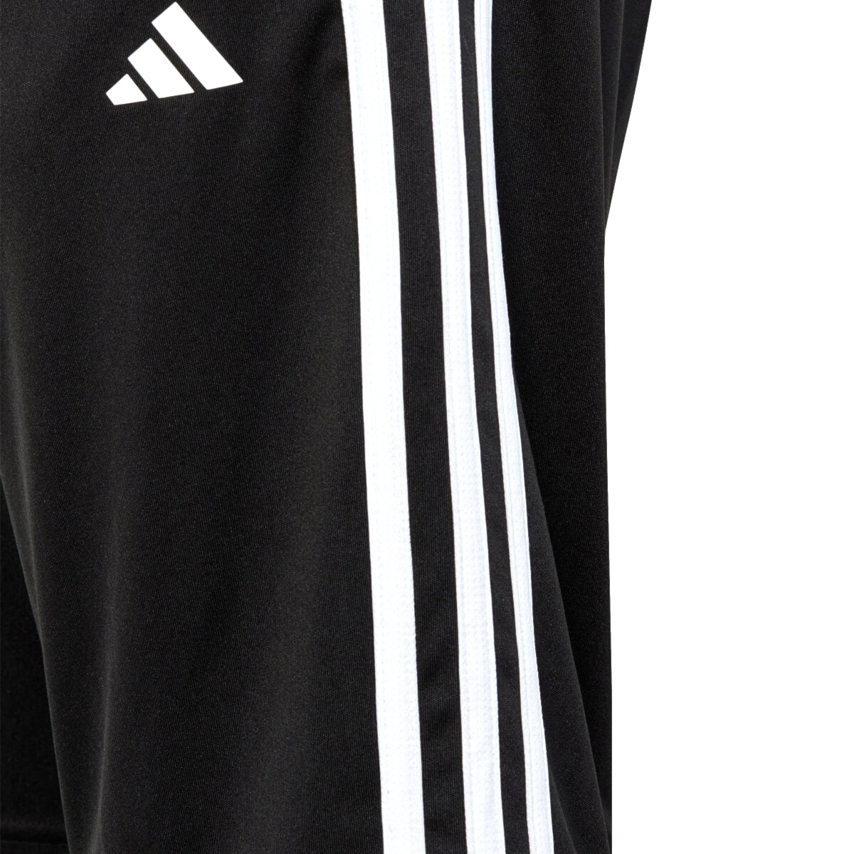 image_7f2187d7-8f82-4c28-b5c8-28a60bec1e4a