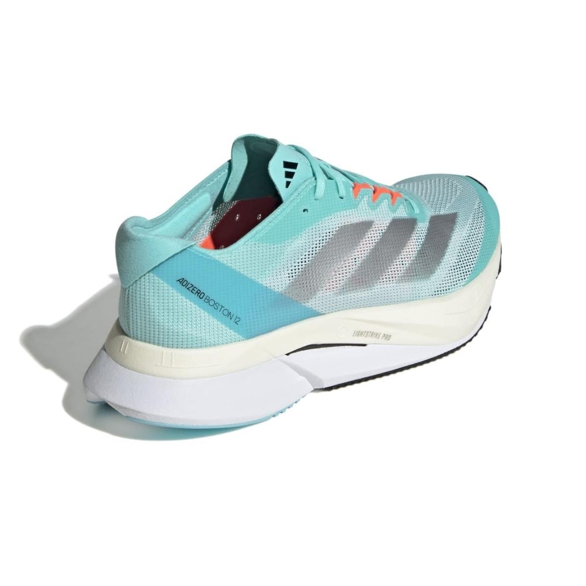 image_c79e0568-d558-494b-ab5f-1a1949e2e73b