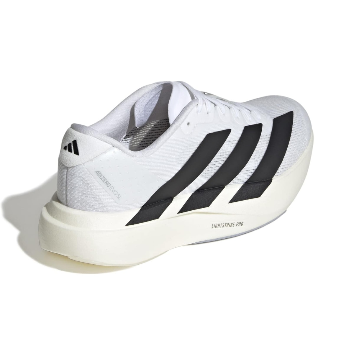 image_fe3772a3-e51a-4e22-b532-dcb6406cc061