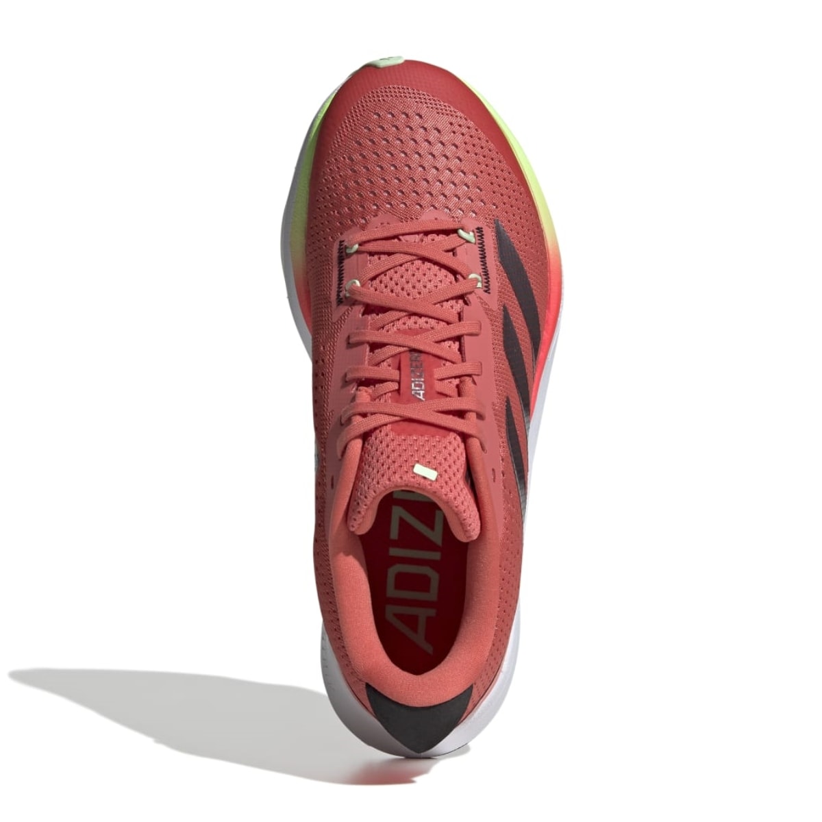 image_546c8dbd-1c29-4c58-83c1-a5ad5a6628e6