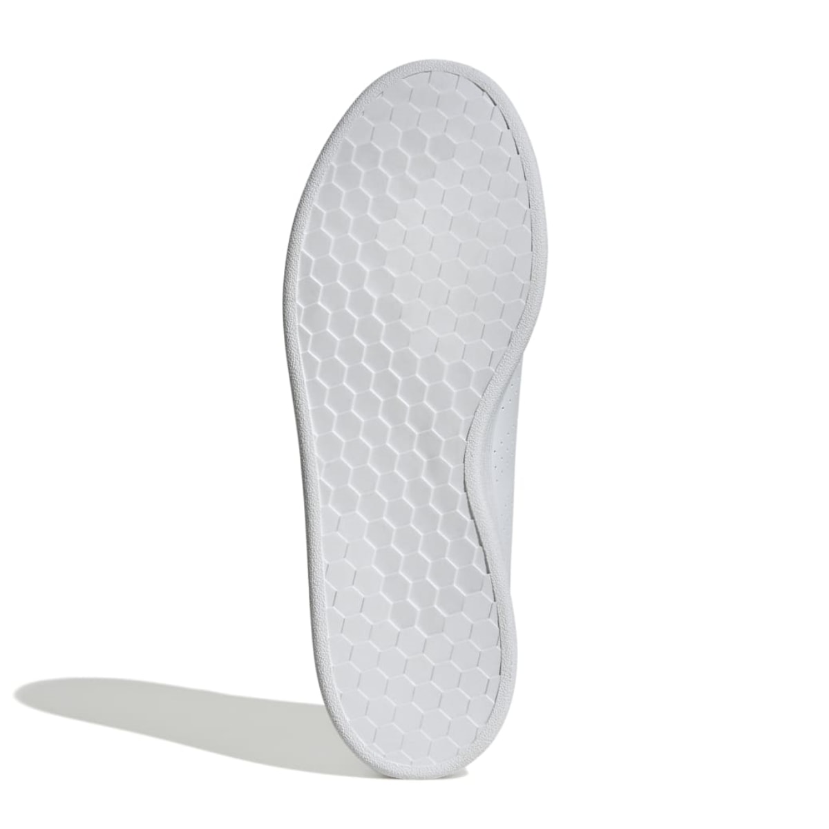 image_87632c79-27e6-4be2-a2c4-8a01e4c088d6