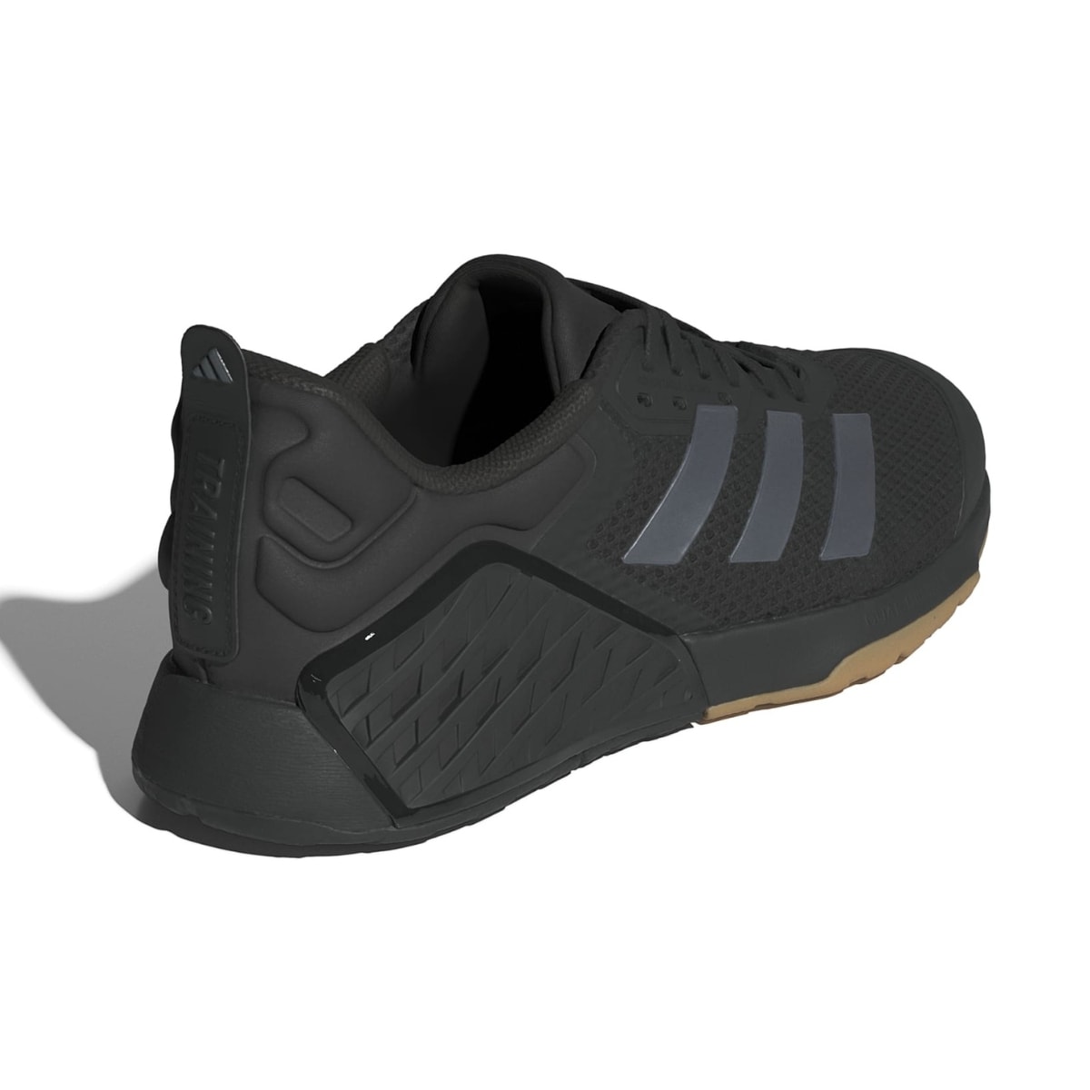 image_460c5a63-a4b2-417b-926f-fc9613d53619