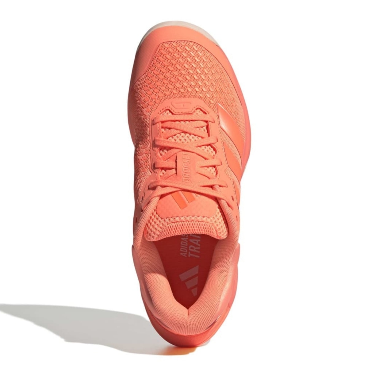 image_ce8aa51c-2d08-4c72-a7a2-7e534d59a8a2