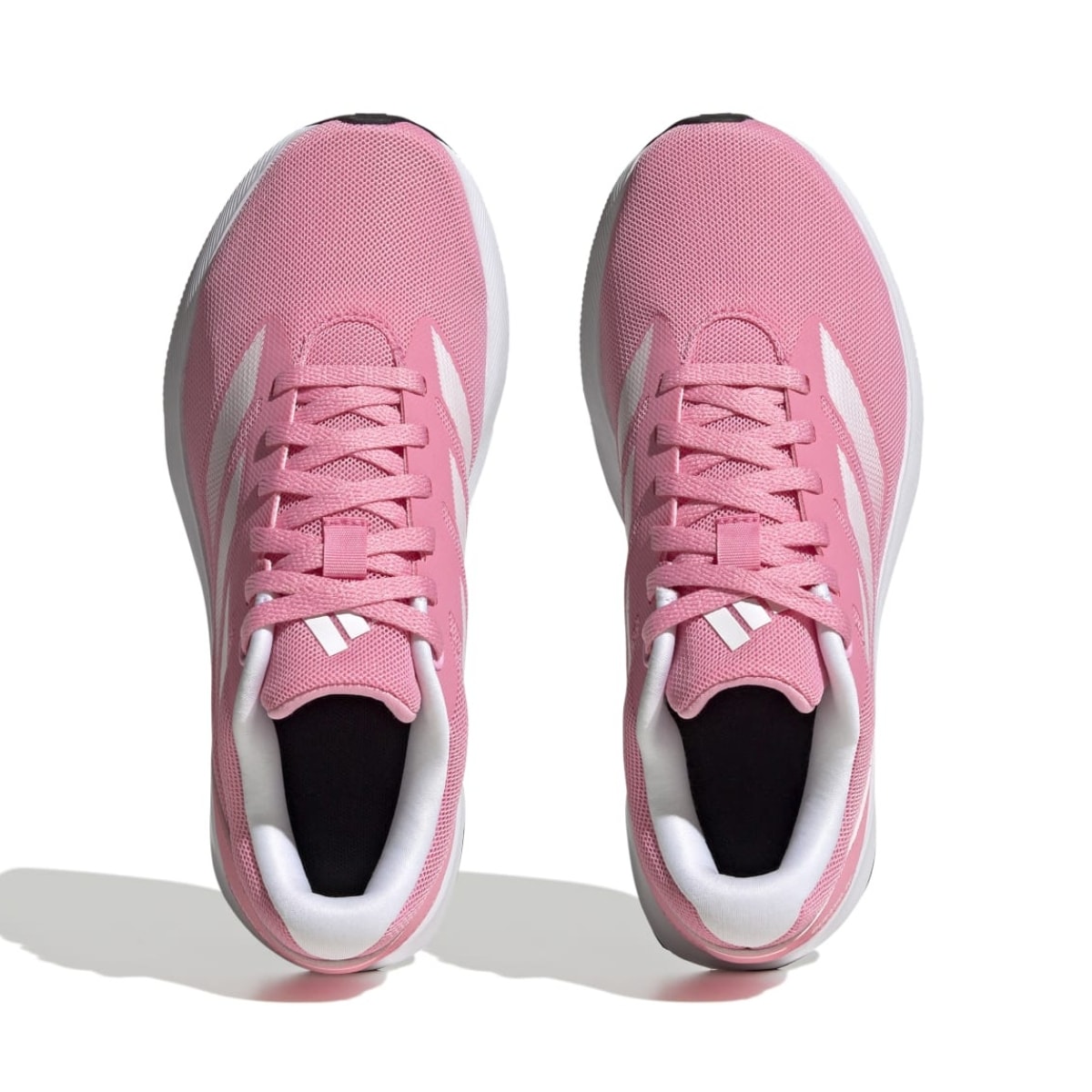 image_0c561683-b4f0-4cca-bea9-07a70c67e824