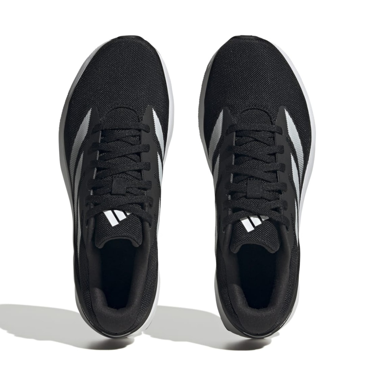 image_8cc6e065-dcb7-4cfd-bb43-e5fcbccb195b