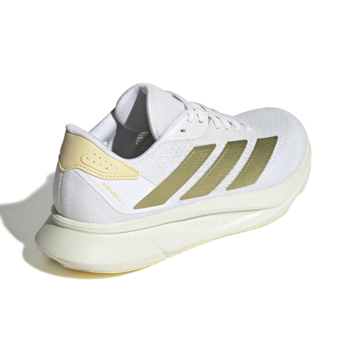 image_e5e2350d-e2e8-4393-b165-9d5a90f31edf