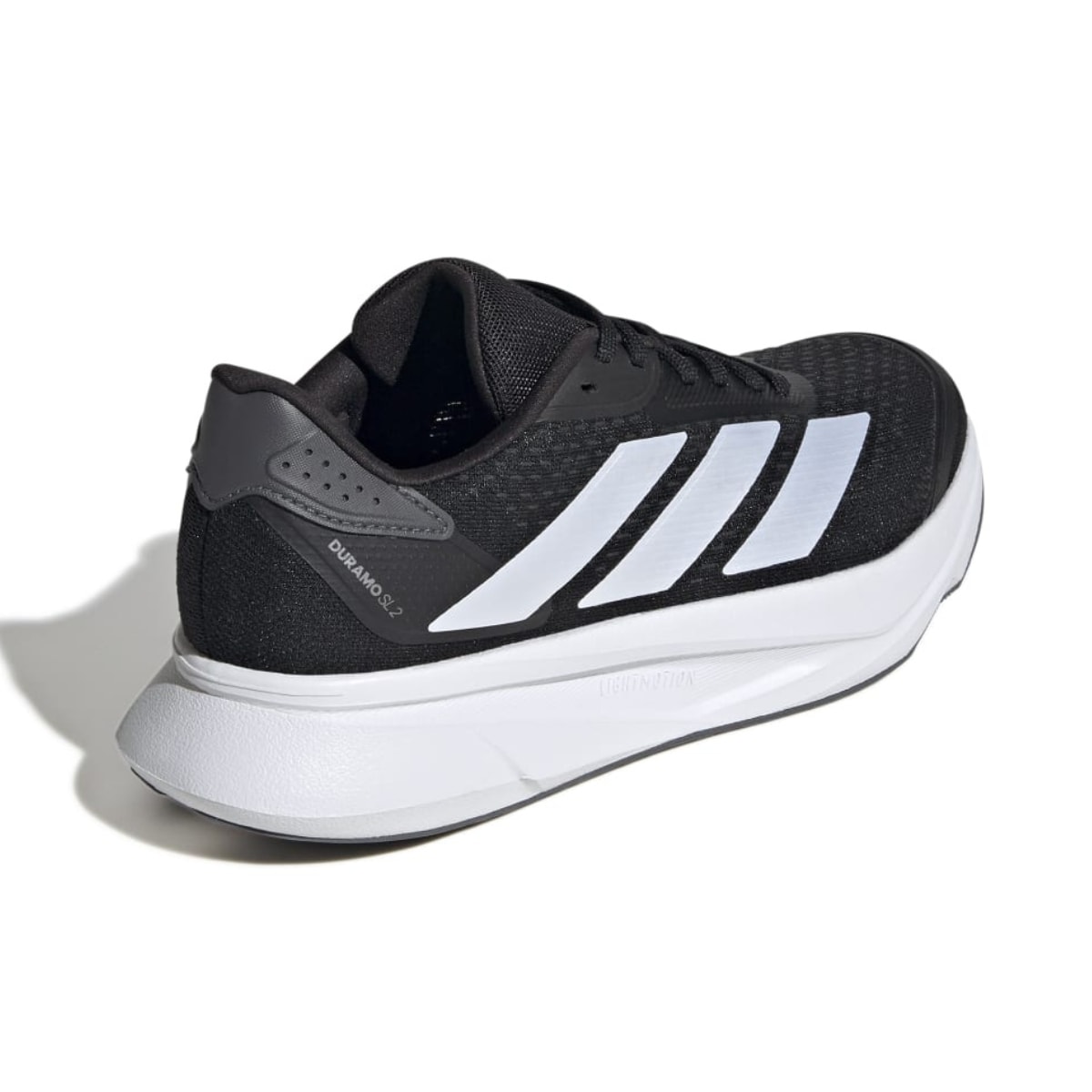 image_443dcbc1-dac6-49f9-956b-c3404738ec94