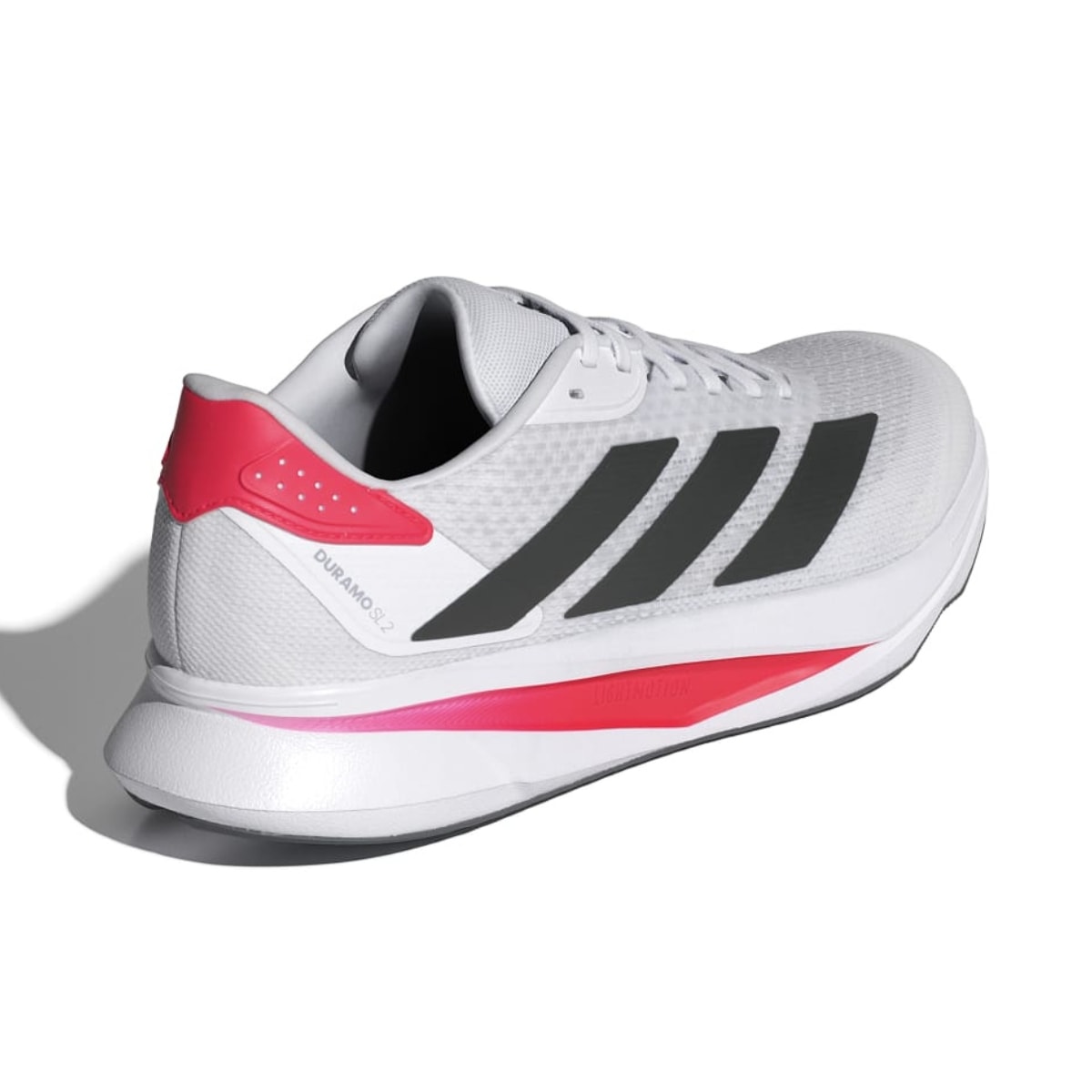 image_551a9561-eac0-407e-8fb5-e6f1f20ba8b9