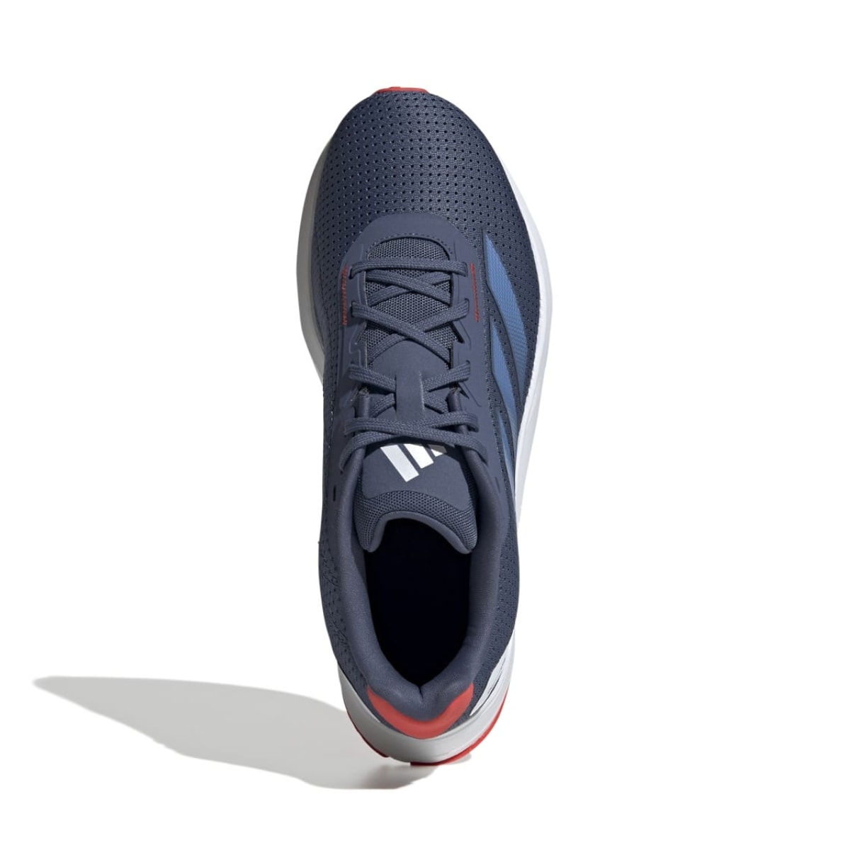 image_f98a8f06-8143-4d1a-b5dd-ba933e06827a