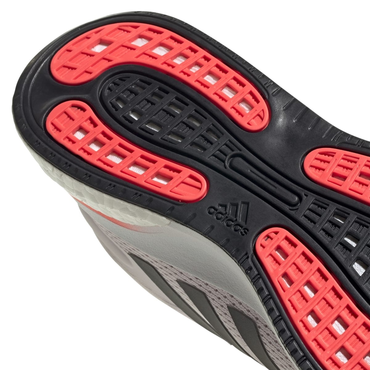 image_446d2917-aa94-40ca-8110-99cdc98370a6