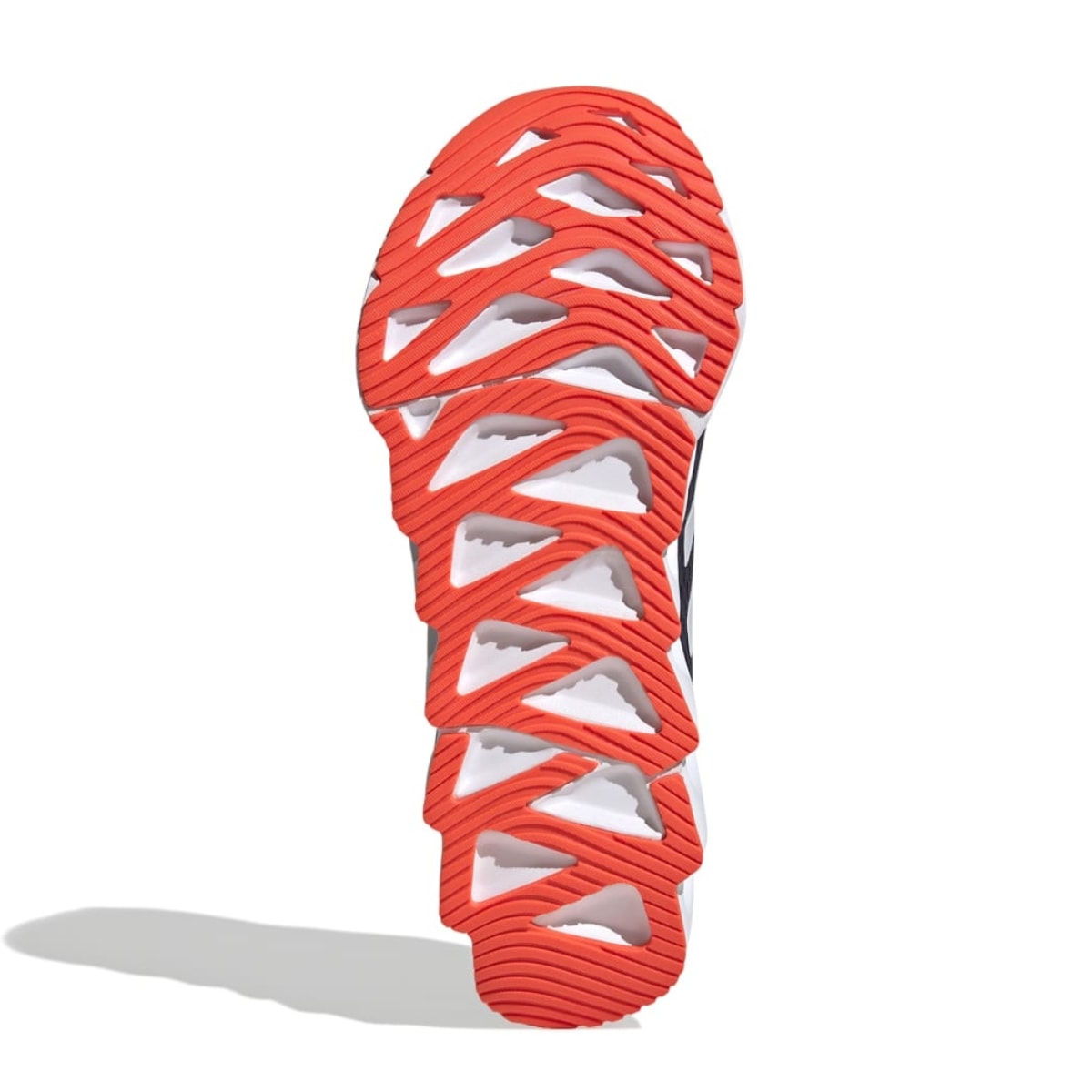 image_38fa4ace-b457-4bc8-8933-29dc8e25af04