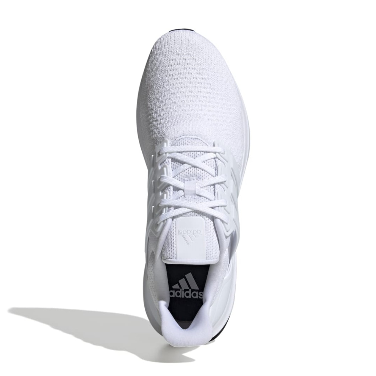 image_d7ec1025-cfbe-48e2-bb7f-c8294930c66d