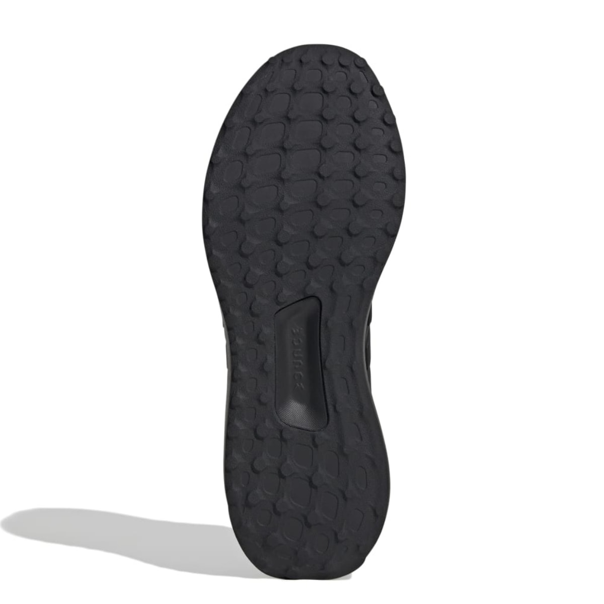 image_c688ba62-a9c8-47e1-8378-86fc82296a8a