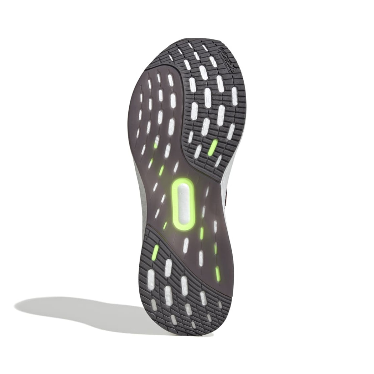 image_e46b4721-33b0-4deb-9a22-f7fd900ddb8b